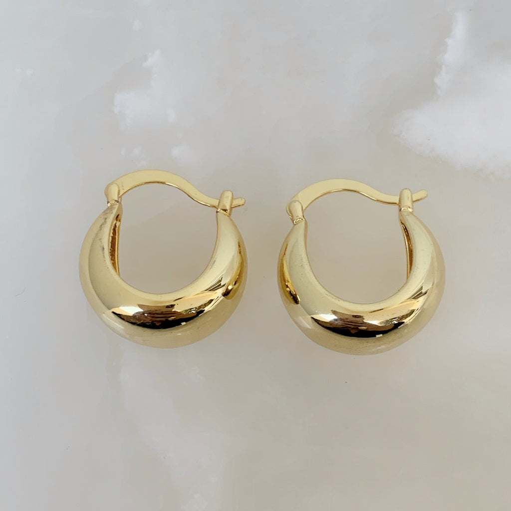 Brilla con Estilo Hoops Earrings en Oro Laminado 11-ARL-135