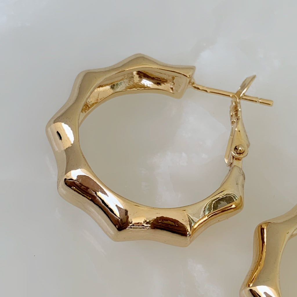 Brilla con Estilo Hoops Earrings en Oro Laminado 05-ARL-135